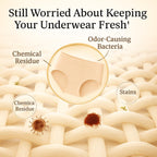 Freshie Lingerie Detergent – Deep Clean for Sweat & Blood Stains, Long-Lasting Scent, Made for Women’s Daily Care